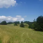 Gospodarstwo agroturystyczne Nad Stawem