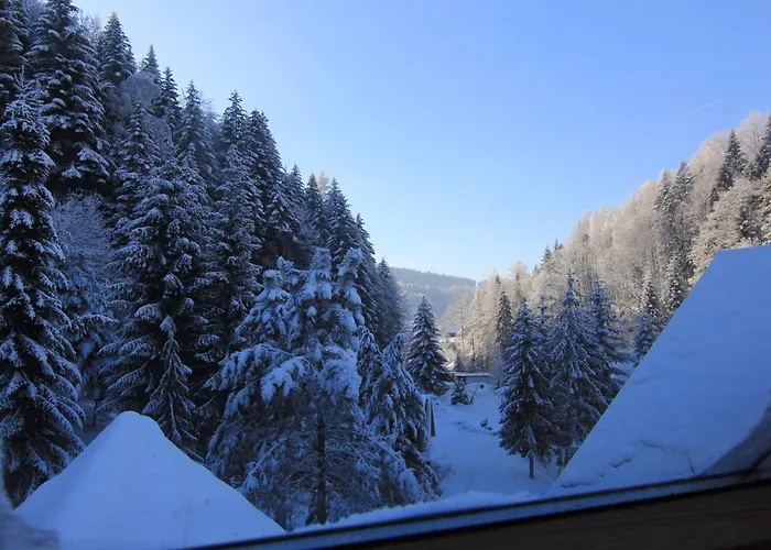 Gospodarstwo agroturystyczne Nad Stawem *