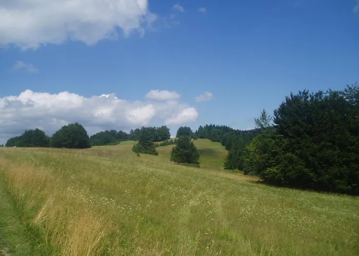 Gospodarstwo agroturystyczne Nad Stawem